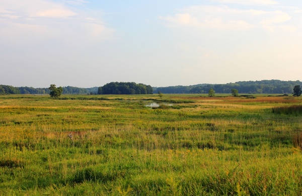 the prairie landscape at chain o lakes state park illinois