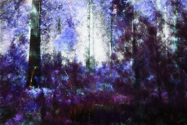 the purple forest 