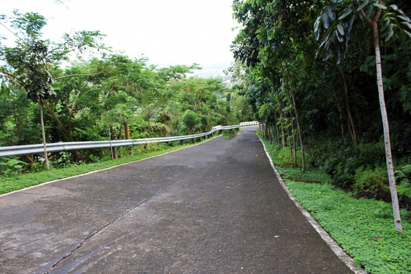 the road 3