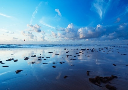 the sea at dusk picture 2