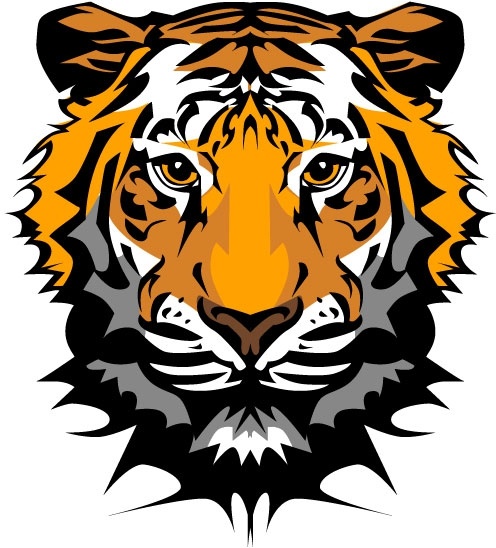 the tiger picture 20 vector