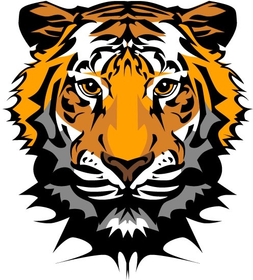 the tiger picture 20 vector 