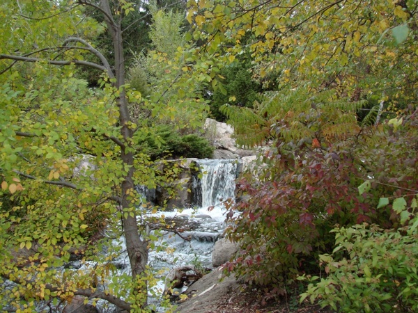 the waterfall in fall