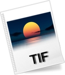TIF File