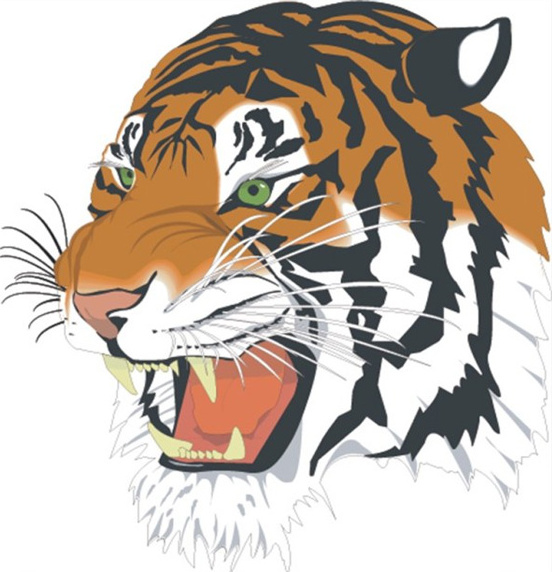 Tiger Illustration Vector Free Premium Vector Download