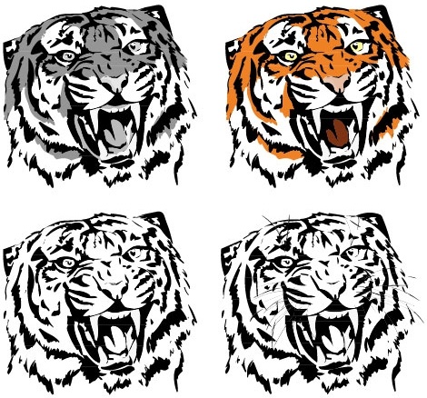tiger image 05 vector