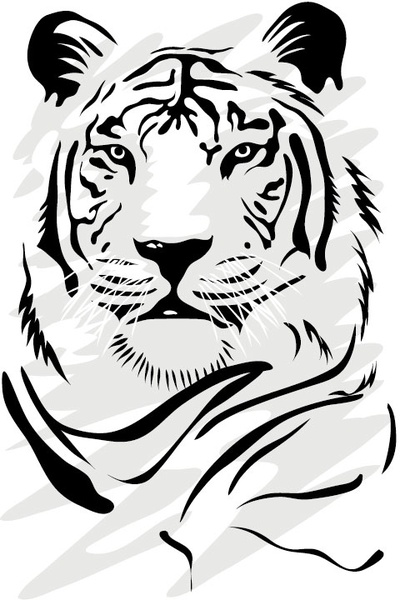 tiger image 06 vector