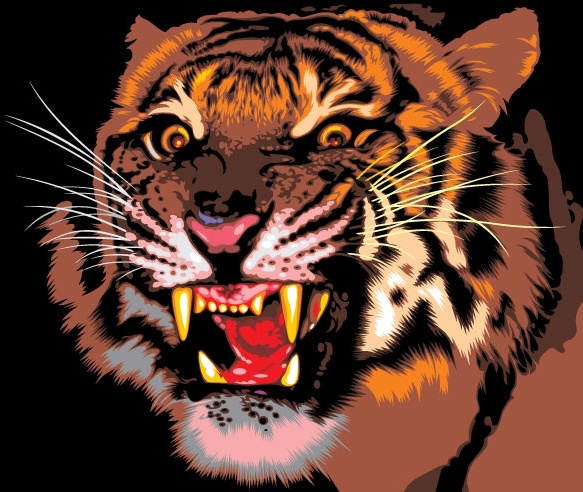 tiger image 09 vector