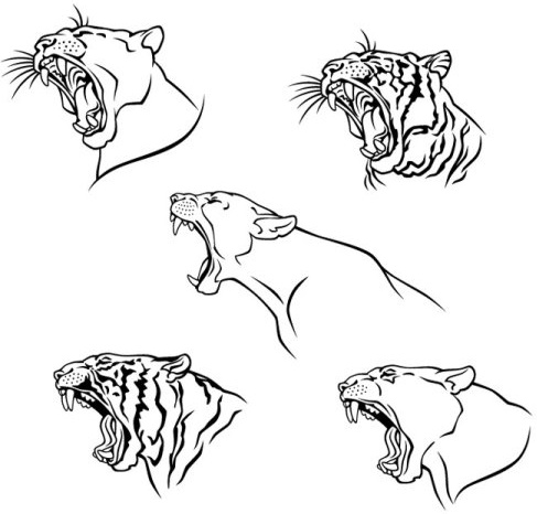 tiger image 10 vector
