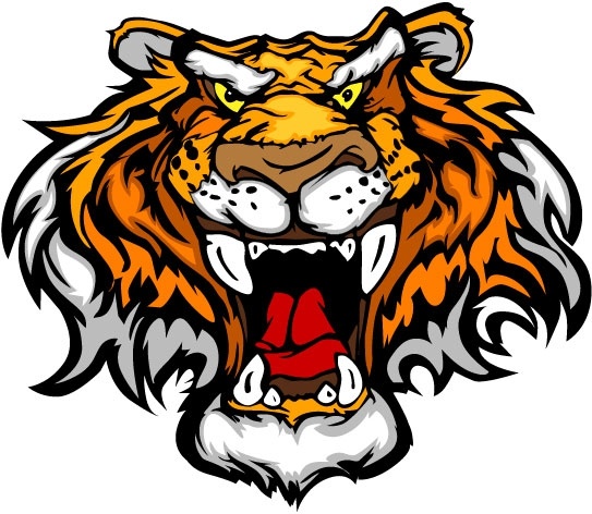 tiger image 17 vector