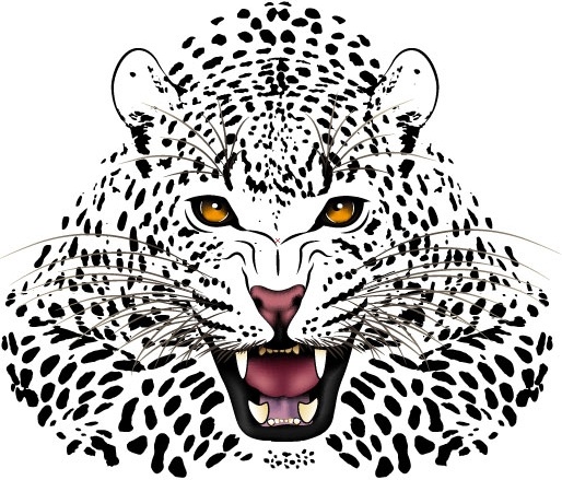 tiger image 18 vector