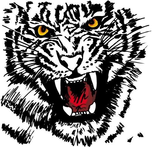 tiger image 27 vector