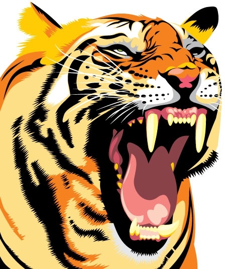 tiger image 28 vector