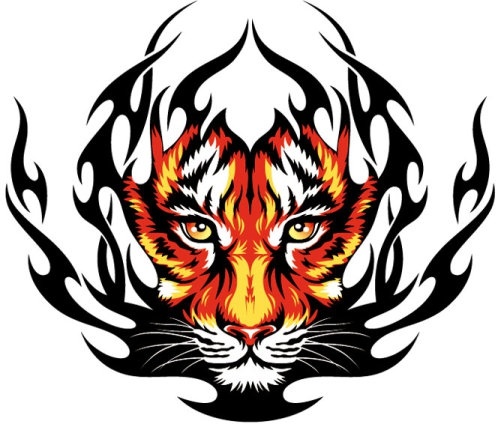 tiger image 31 vector