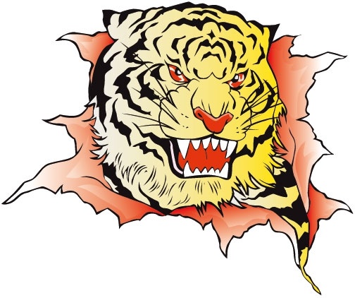 tiger image 38 vector