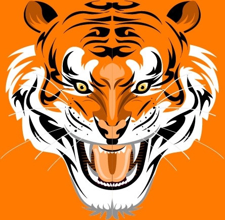 tiger image 43 vector