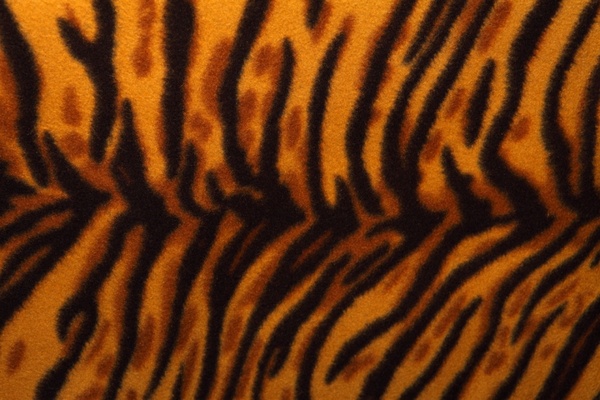 tiger pattern