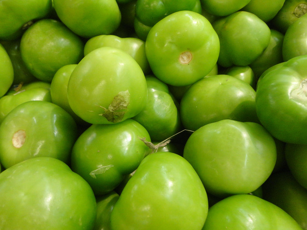 tomatillo verde 