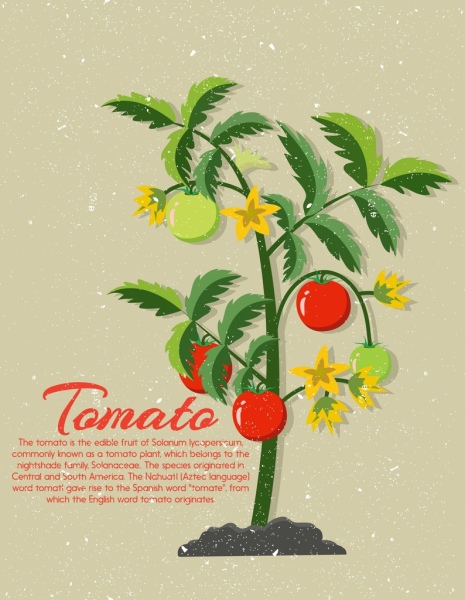 tomato advertising tree icon retro decoration