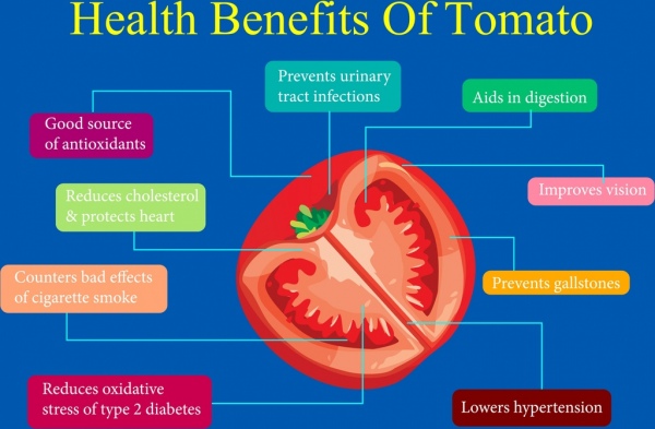 tomato benefit infographic slice icon text decoration