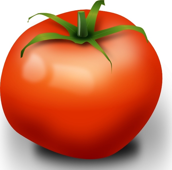 Tomato clip art