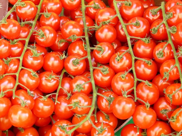 tomatoes tomatenrispe vegetables