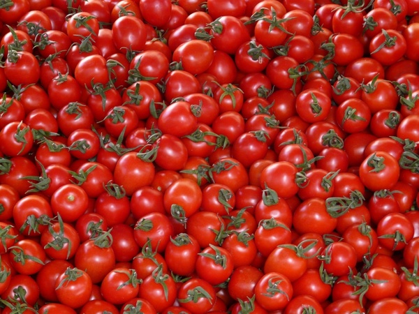 tomatoes vegetables red 