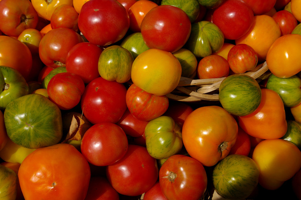 tomatoj 