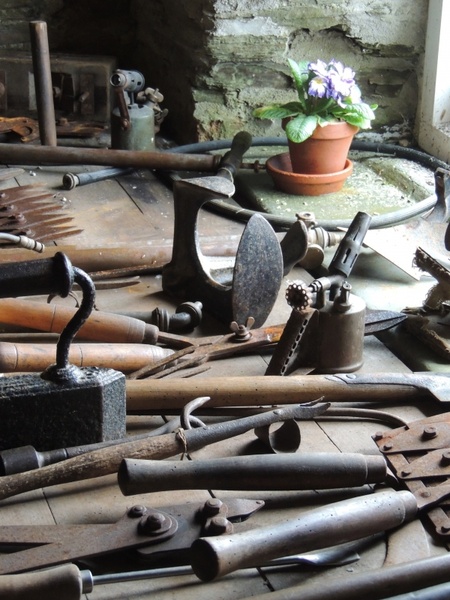 tools shed flower