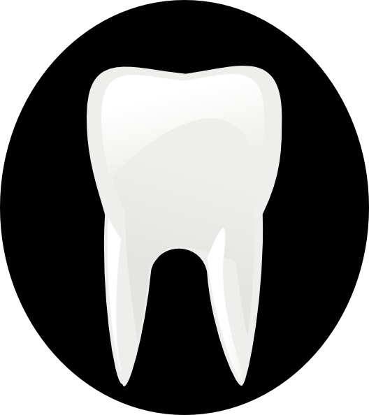 Tooth Molar Clip Art Free Vector In Open Office Drawing Svg Svg