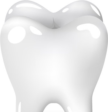  tooth, teeth