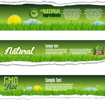 torn paper eco style banners vector