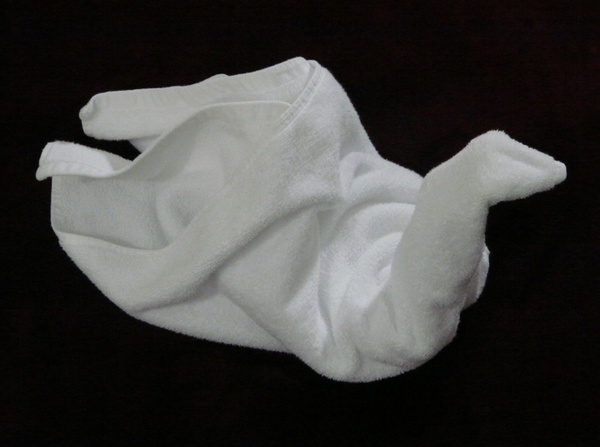 towel fold swan 