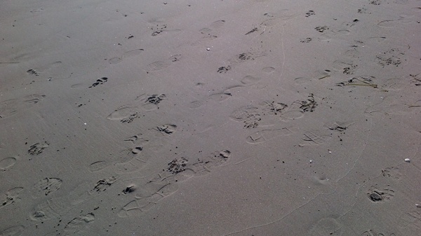 traces footprints beach