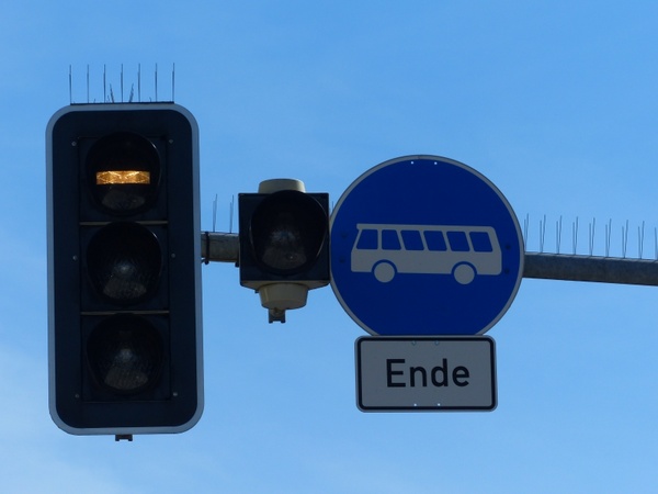 traffic lights bus buses