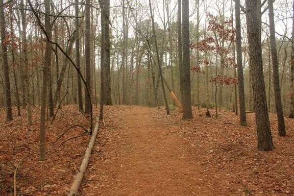 trail head and forest at redtop mountain state park georgia 