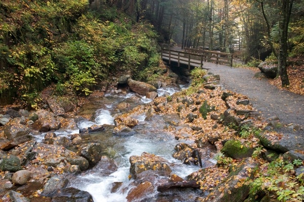 trail stream water rocks leaves foliage autumn 