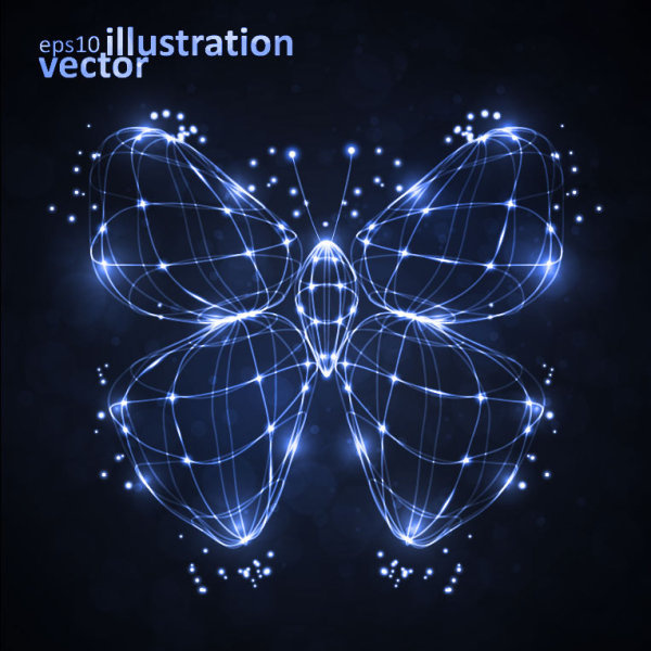 transparent butterfly vector illustration 