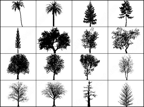 Tree brush PS brushes in .abr format free and easy download unlimit id