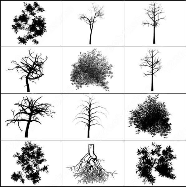 plan view trees photoshop brushes