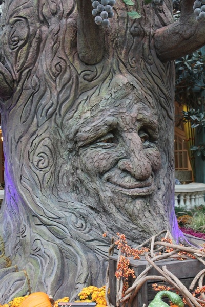 tree face tree face