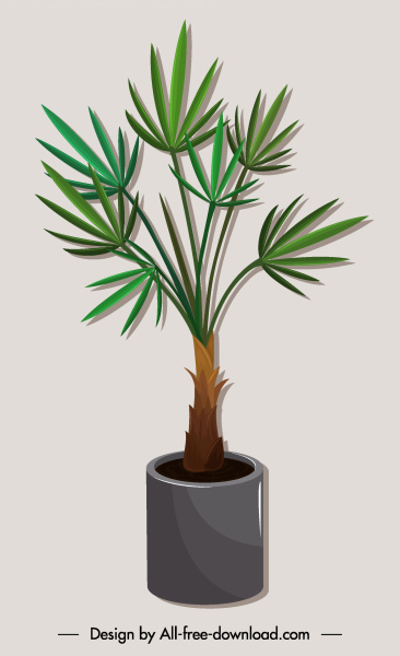 tree pot icon needle leaves colored 3d