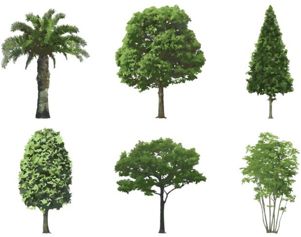 tree illustrator download free