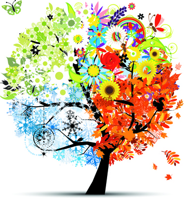 tree with four seasons vector 