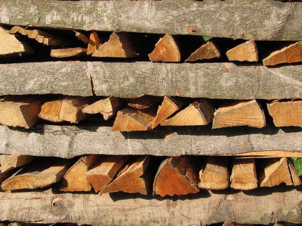 tree wood firewood wood