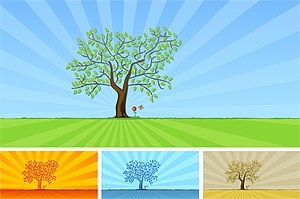 trees and grass flowers vector