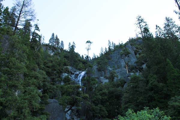 trees on rocky hill with waterfall
