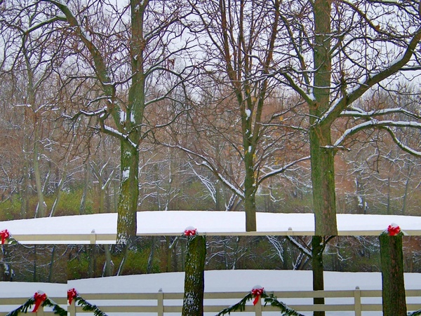 trees snow and decorated fence