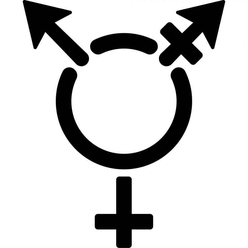 trensgender sign icon flat silhouette circle arrow plus sign sketch
