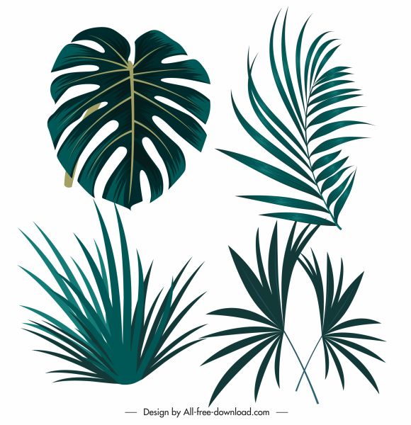 tropical design elements green leaf shapes sketch